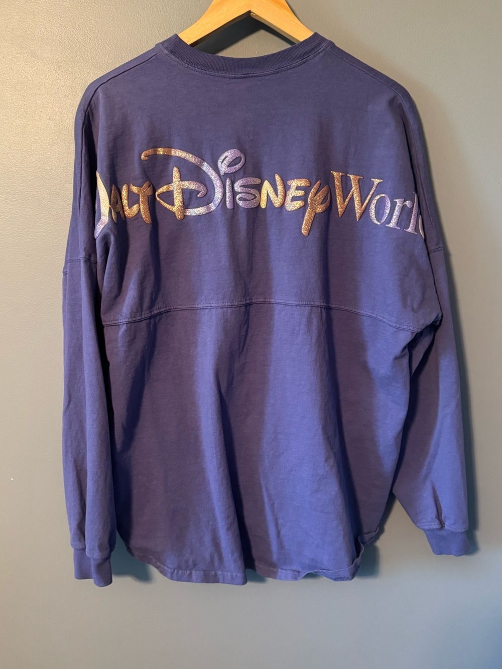 Walt Disney World spirit jersey glitter 50th anniversary